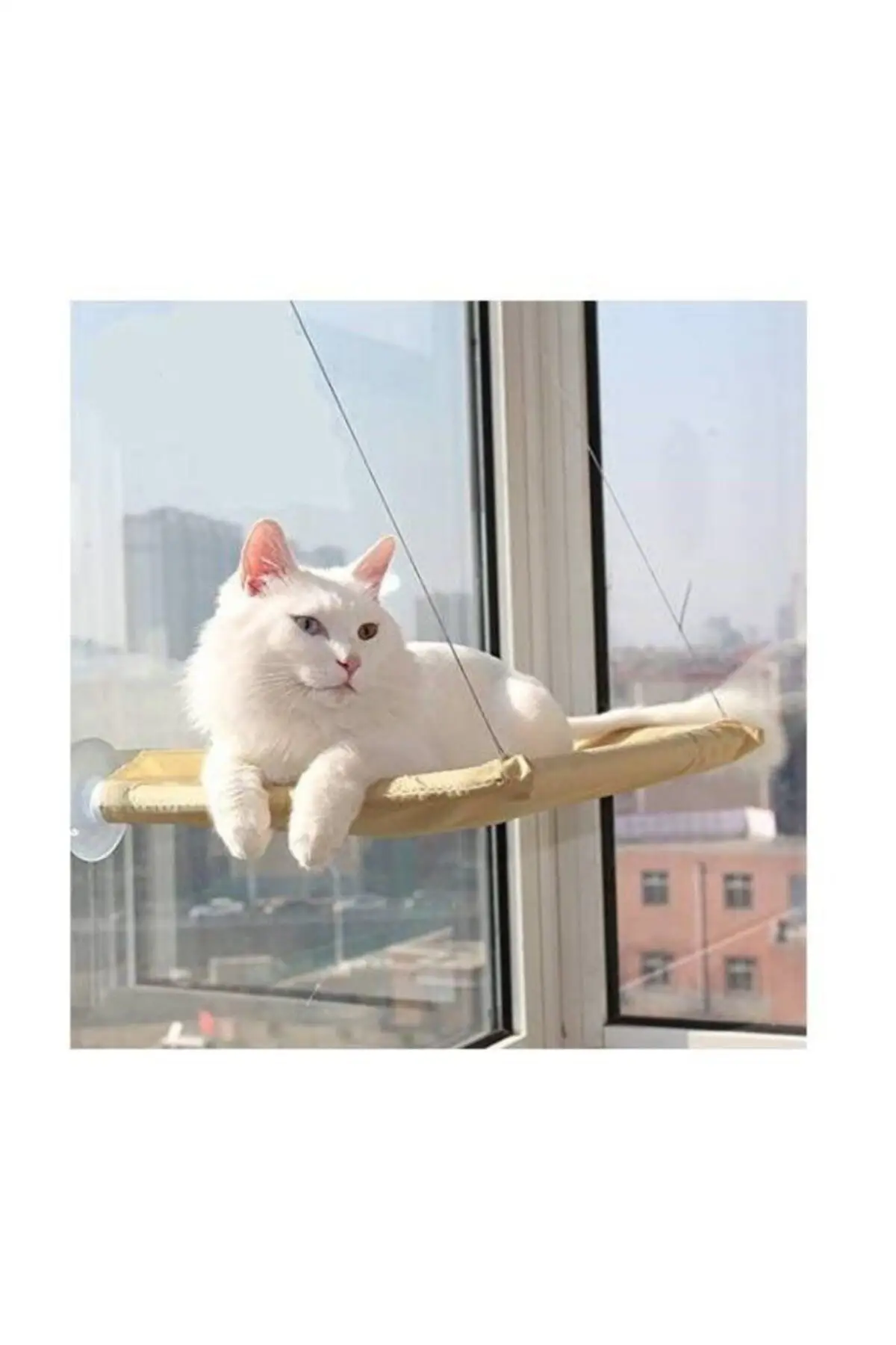 Glass Hanging Cat Bed Cushion (with suction cups), Comfortable, Comfort, Practical, easy to Clean Healthy Fabric, Safe Rugged
Glass Hanging Cat Bed Cushion (with suction cups), Comfortable, Comfort, Practical, easy to Clean Healthy Fabric, Safe Rugged