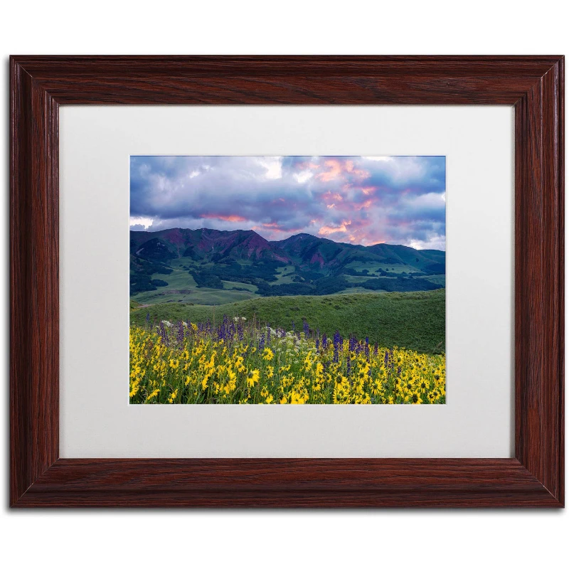 "Crimson Flare" Canvas Art by Michael Blanchette Photography White Matte, Wood Frame
"Crimson Flare" Canvas Art by Michael Blanchette Photography White Matte, Wood Frame