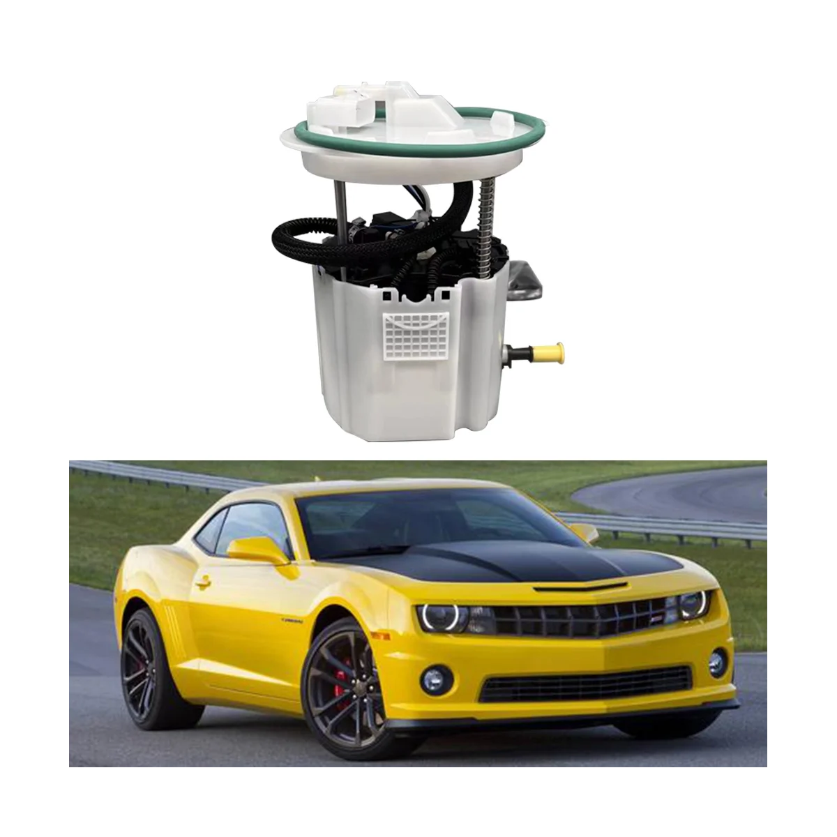 Fuel Pump Assembly 19303293 for 2011-2017 Chevrolet Camaro Caprice SS 
Fuel Pump Assembly 19303293 for 2011-2017 Chevrolet Camaro Caprice SS