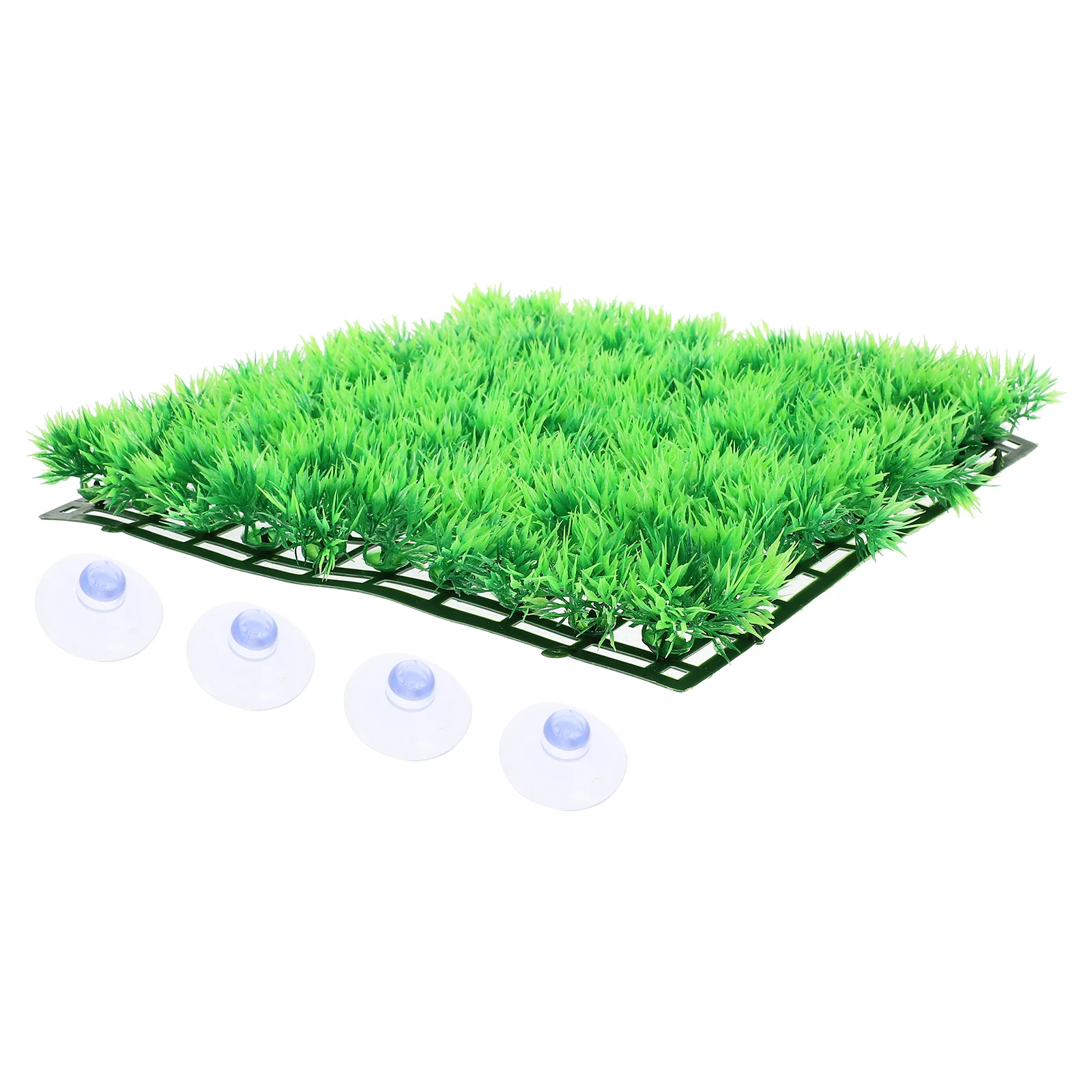 Washable Fish Tank Decor Shell Simulation Grass Mat Plastic Artificial Cushions Rugs Coop Mats
Washable Fish Tank Decor Shell Simulation Grass Mat Plastic Artificial Cushions Rugs Coop Mats