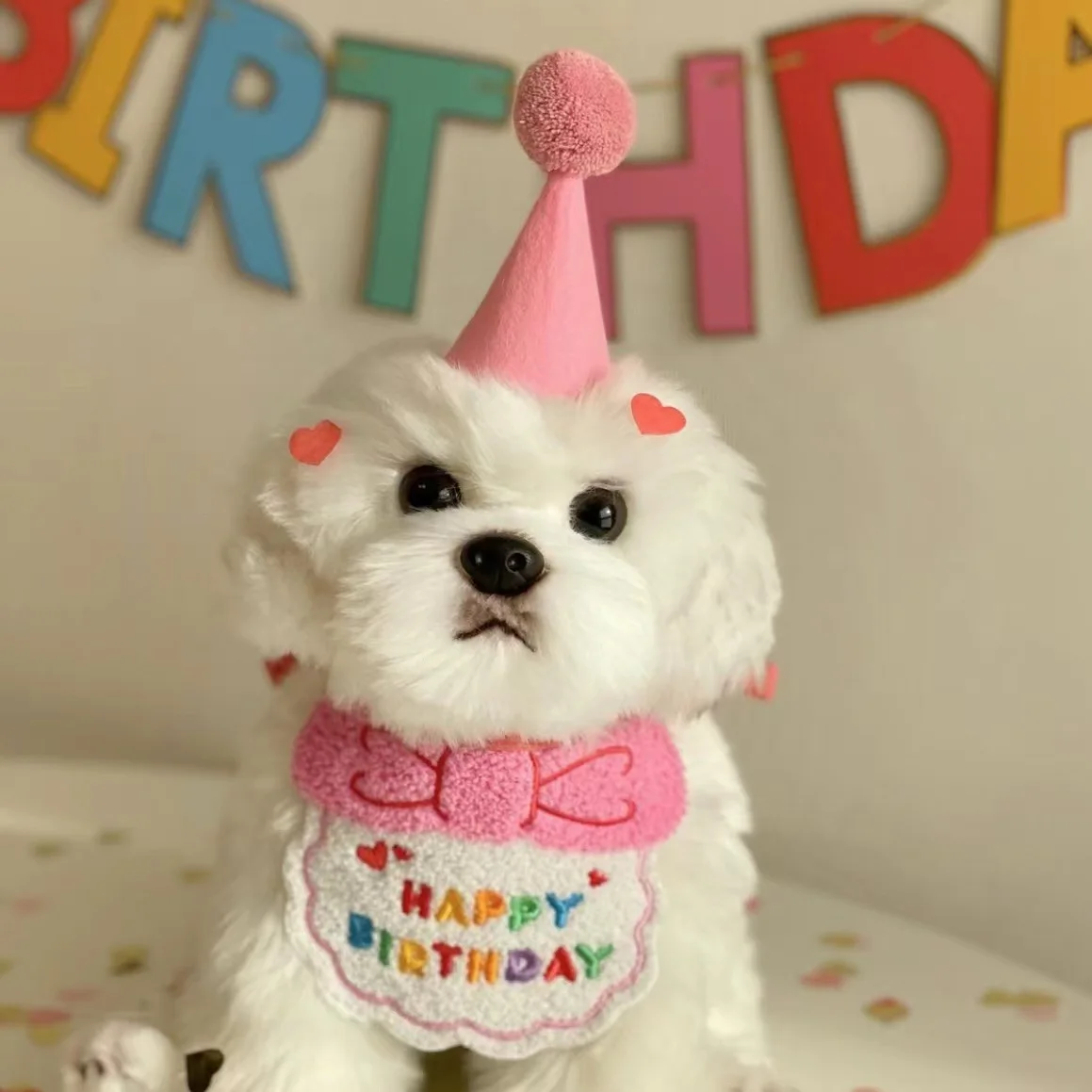 Korean dog party birthday hat bib dog cat pet drool drool towel than beardog pets
Korean dog party birthday hat bib dog cat pet drool drool towel than beardog pets
