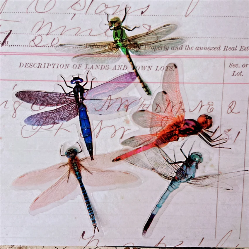 30pcs Insect Theme Dragonflies In Summer Style PVC Sticker Scrapbooking DIY Gift Packing Label Decoration Tag
30pcs Insect Theme Dragonflies In Summer Style PVC Sticker Scrapbooking DIY Gift Packing Label Decoration Tag