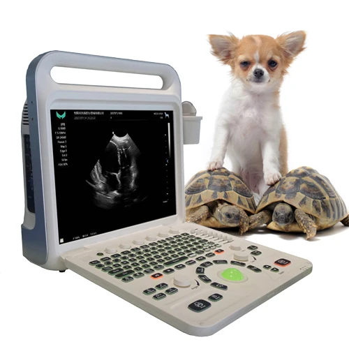 15" Portable Medical Hospital Instruments 4D Color Doppler Ultrasound Scanner
15" Portable Medical Hospital Instruments 4D Color Doppler Ultrasound Scanner