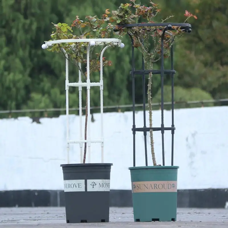 Garden Obelisk Trellis Indoor Portable Plant Support Heavy Duty For Climbing Vines Detachable Indoor Trellis Plant Stakes
Garden Obelisk Trellis Indoor Portable Plant Support Heavy Duty For Climbing Vines Detachable Indoor Trellis Plant Stakes
