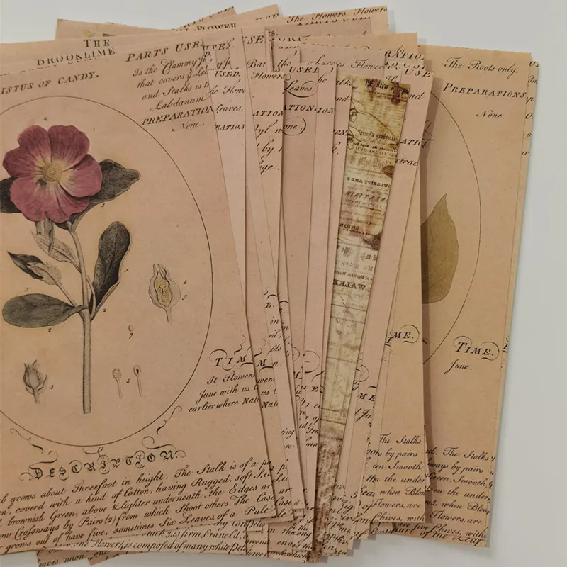 30 pcs Vintage Scrapbooking Diy Material Paper Decorative Retro Plant Flower Notes Collection Diary Journal Background PaperArt
30 pcs Vintage Scrapbooking Diy Material Paper Decorative Retro Plant Flower Notes Collection Diary Journal Background PaperArt