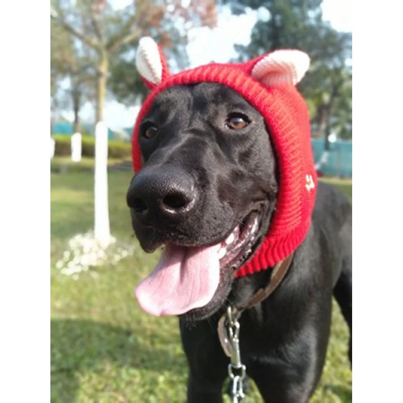 Pet hat dog scarf hat winter large dog cute wool warm Labrador golden retriever hat
Pet hat dog scarf hat winter large dog cute wool warm Labrador golden retriever hat