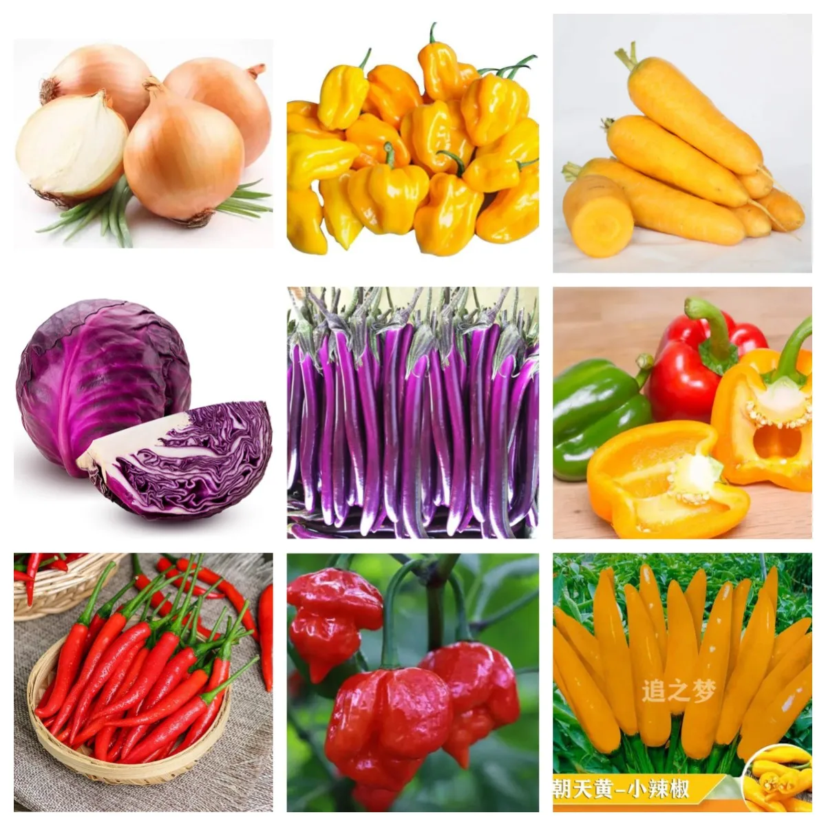 100PCS/Pack tomato,onion,eggplant,carrot,Pepper,vegetable
100PCS/Pack tomato,onion,eggplant,carrot,Pepper,vegetable