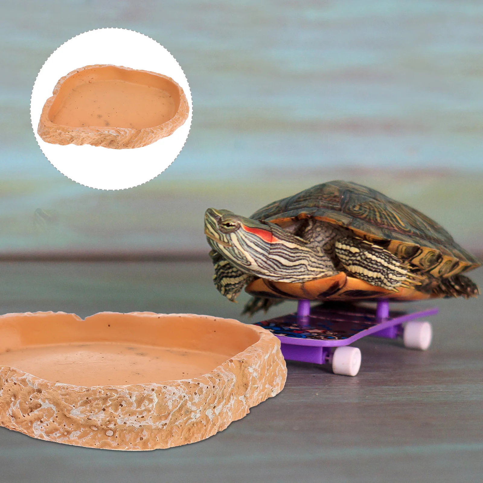 

Dish Water Bowl Snake Turtle Reptile Food Feeding Tortoise Breeding Tray Resin Gecko Pet Plate Pets Shallow Vivarium Reptiles