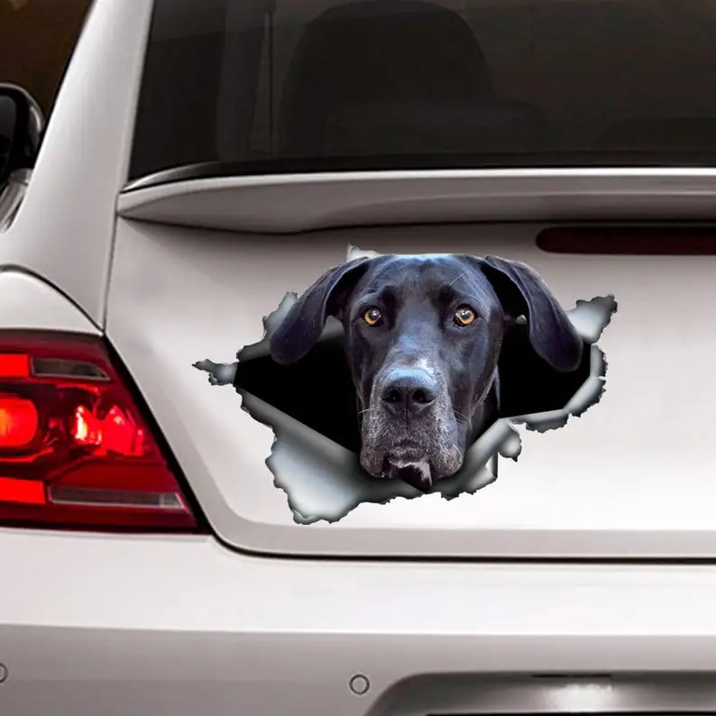 Black Great Dane sticker , car decoration, car sticker , Vinyl decal, Black Great Dane decal
Black Great Dane sticker , car decoration, car sticker , Vinyl decal, Black Great Dane decal