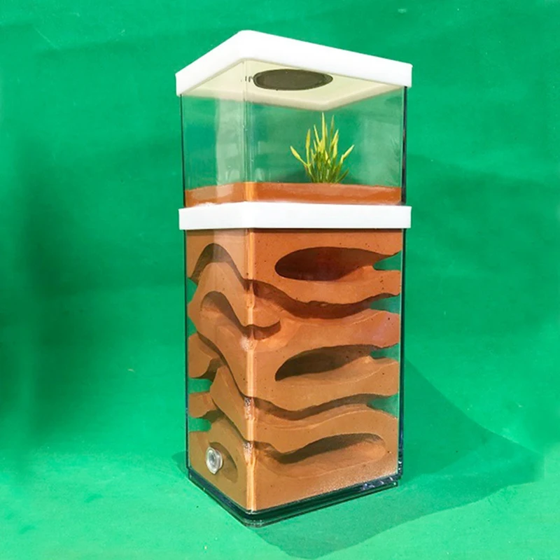 Ant Farm High Moisture Insect Hotel Castle Ecological Ant Nest Pet Anthill Workshop Ant House Village with Feeding Area
Ant Farm High Moisture Insect Hotel Castle Ecological Ant Nest Pet Anthill Workshop Ant House Village with Feeding Area