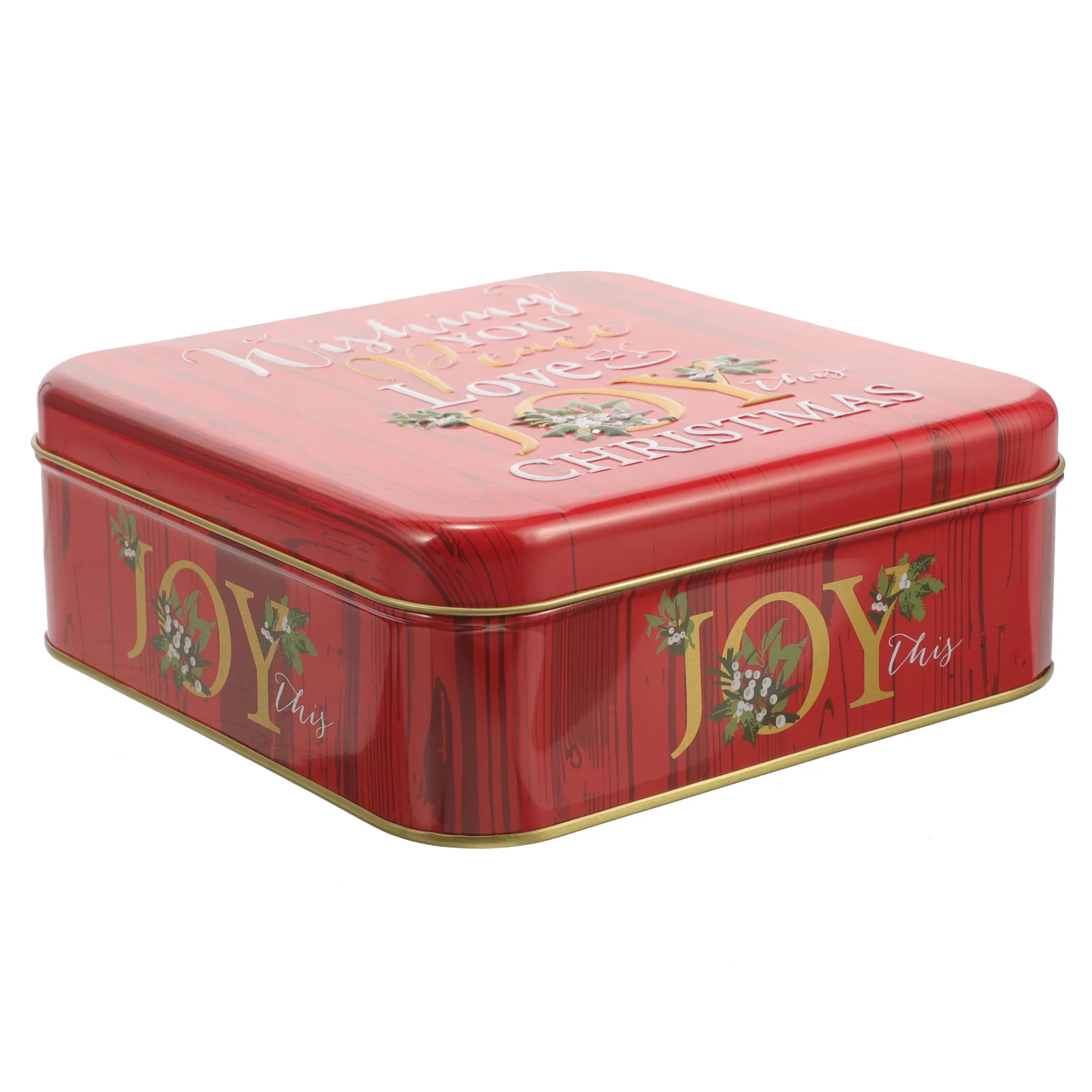 Candy Storage Holder Tin Cookie Tins With Lids Box Christmas Supplies Metal Sweet Container
Candy Storage Holder Tin Cookie Tins With Lids Box Christmas Supplies Metal Sweet Container