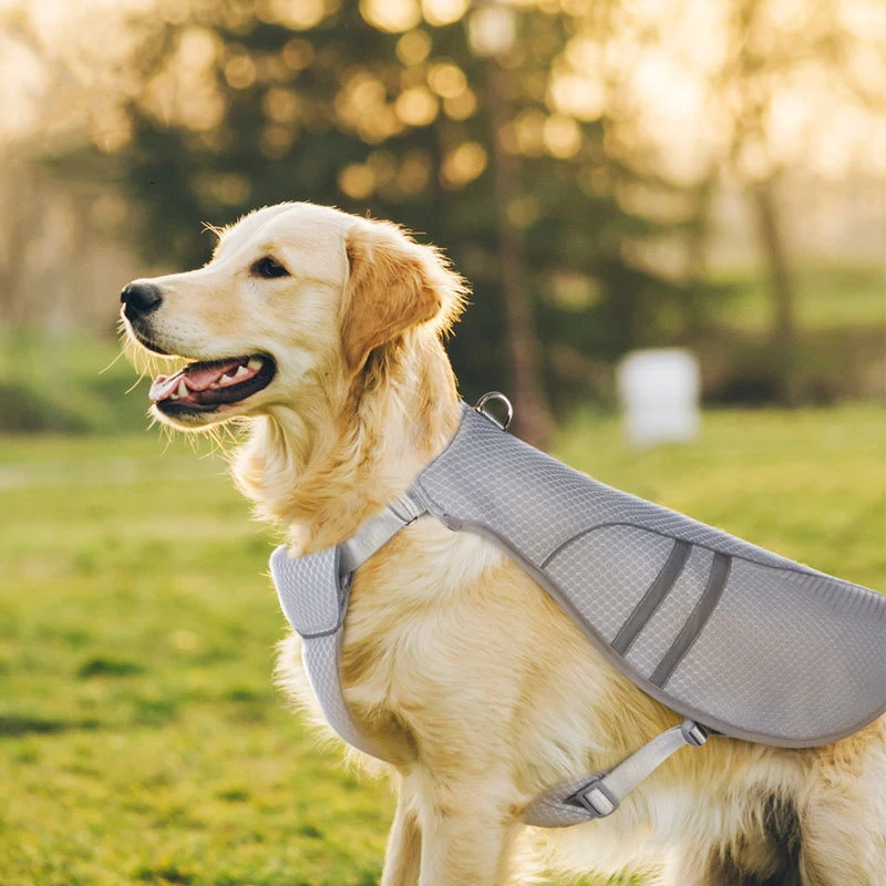 Dog Harness Summer Heatstroke Prevention Pet Cool Chest Strap Cool Feeling Breathable Puppy Vest Dog Cold Chest Strap Pet Items 
Dog Harness Summer Heatstroke Prevention Pet Cool Chest Strap Cool Feeling Breathable Puppy Vest Dog Cold Chest Strap Pet Items