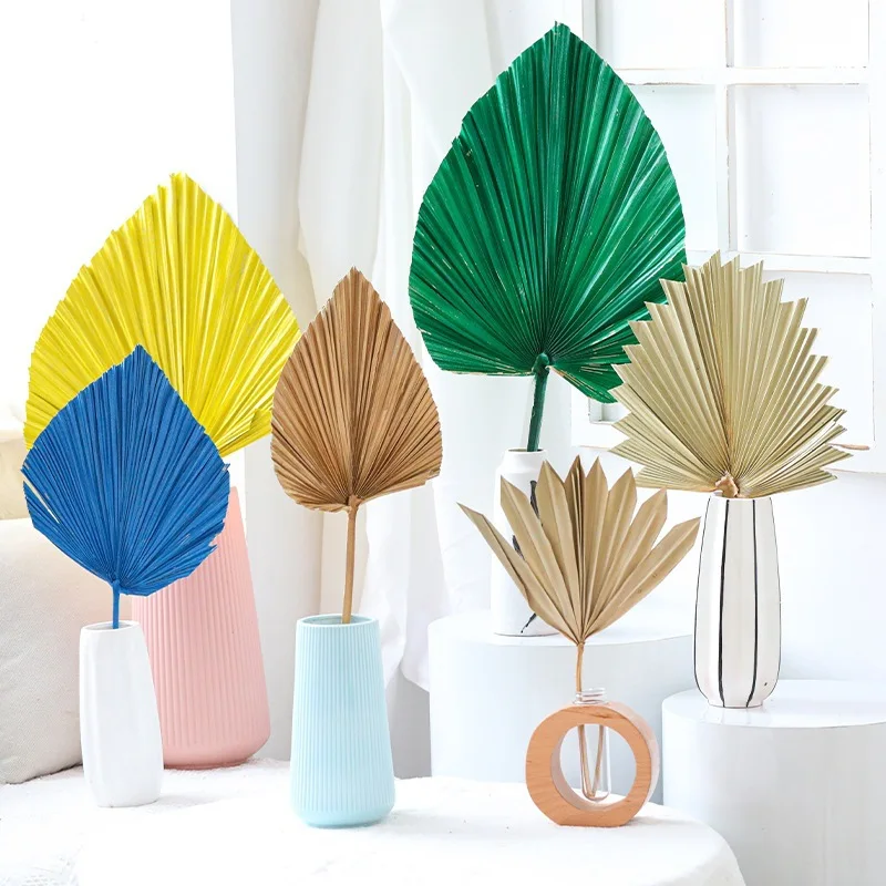 Pufan Leaf Dry Flower Palm Leaf Home Wedding Scene Decoration Flower Art Design Pufan Leaf Home DIY Decoration
Pufan Leaf Dry Flower Palm Leaf Home Wedding Scene Decoration Flower Art Design Pufan Leaf Home DIY Decoration