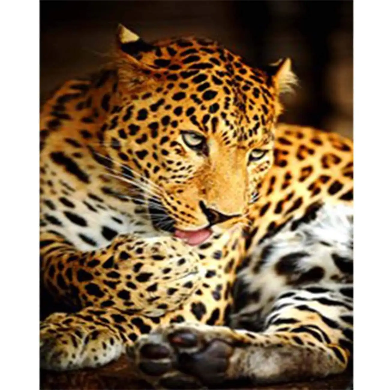 5D Diamond Painting Yellow Leopard Full Drill by Number Kits for Adults, DIY Diamond Set Arts Craft Decorations a0032
5D Diamond Painting Yellow Leopard Full Drill by Number Kits for Adults, DIY Diamond Set Arts Craft Decorations a0032