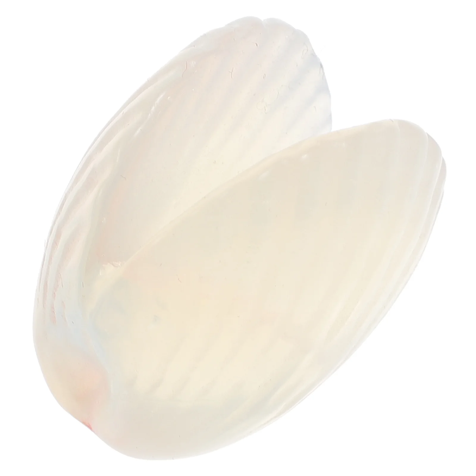 Shell Shells Decor Aquarium Sea Seashell Tank Ornaments Crab Hermit Decorations Hideout Shelter Accessories Jewelry Figurine
Shell Shells Decor Aquarium Sea Seashell Tank Ornaments Crab Hermit Decorations Hideout Shelter Accessories Jewelry Figurine