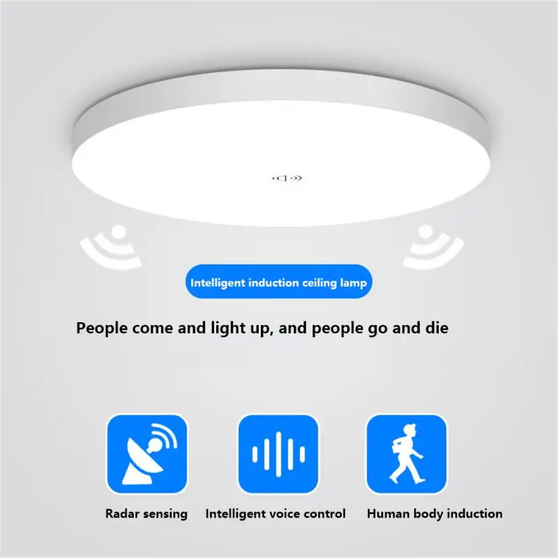 

Human Body Induction Ceiling Light Control Home Radar Induction Night Lamp LED Light Corridor Stair Aisle Living Room Decoration