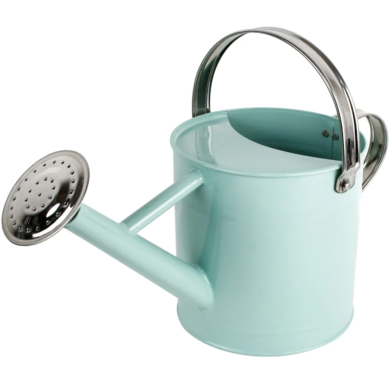 1-Gallon Watering Can, Copper Colored Metal Watering Can with Removable Spout, Light Green
1-Gallon Watering Can, Copper Colored Metal Watering Can with Removable Spout, Light Green