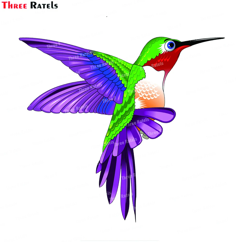 Three Ratels J961 Beautiful Hummingbird Stickers And Decals For Laptop Luggage Skateboard Decoration
Three Ratels J961 Beautiful Hummingbird Stickers And Decals For Laptop Luggage Skateboard Decoration