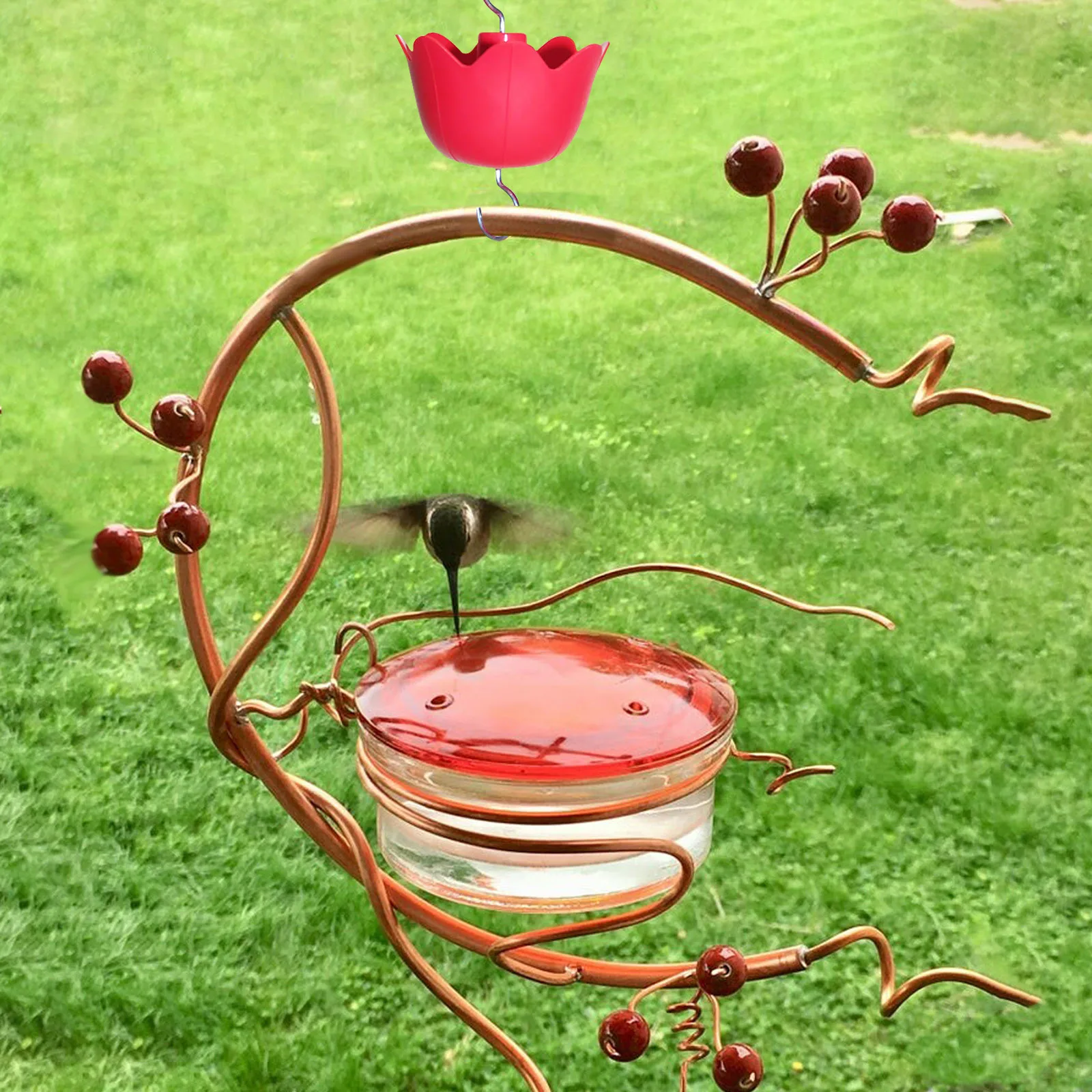 Multifunctional Hooks Hanger, Ant Guard Moats For Hummingbird Feeder Flower Insect Moat For Wild Bird Feeder
Multifunctional Hooks Hanger, Ant Guard Moats For Hummingbird Feeder Flower Insect Moat For Wild Bird Feeder