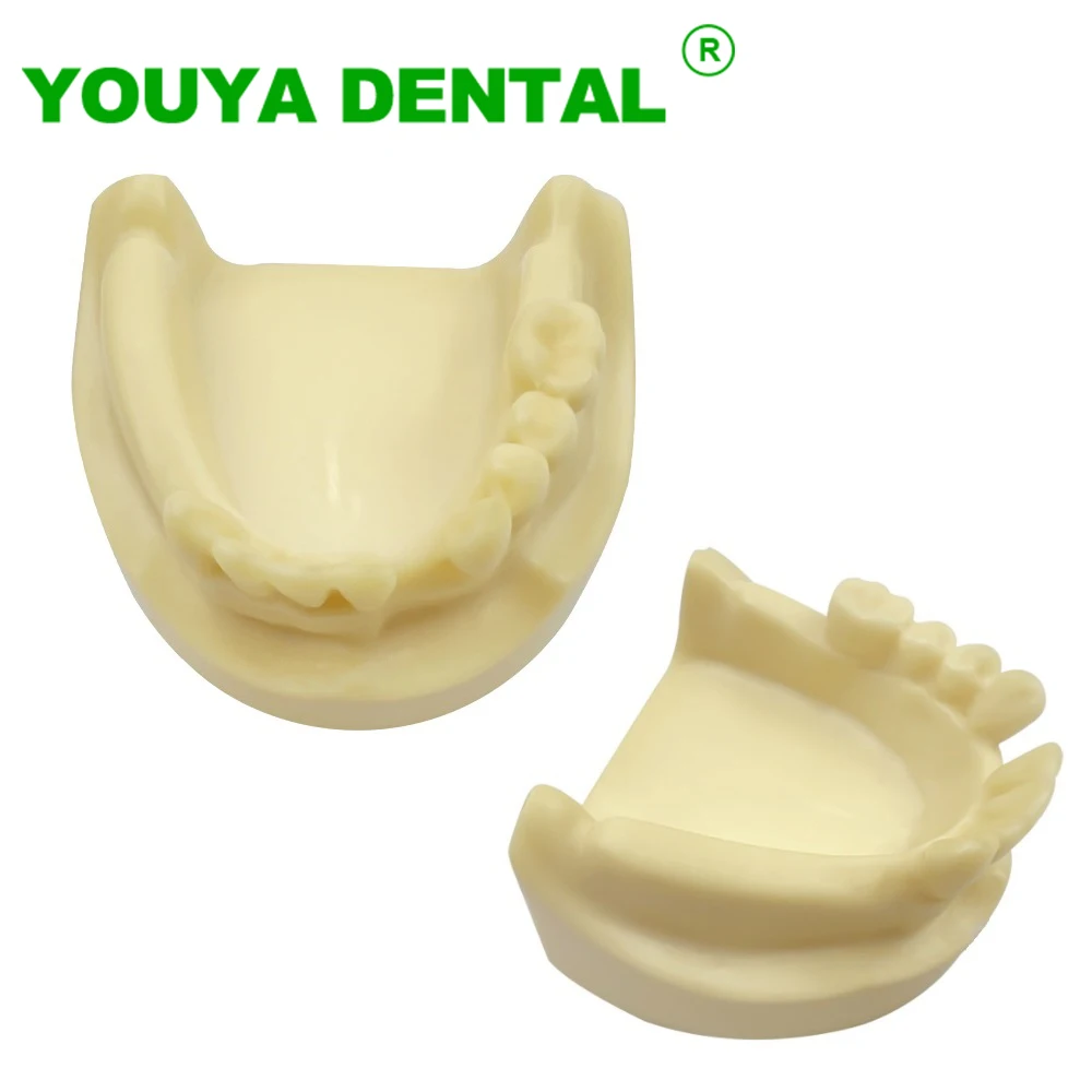 Dental Implant Practice Model Lower Jaw Model With Missing Teeth For Dentist Student Studying Teaching Models Dentistry Products
Dental Implant Practice Model Lower Jaw Model With Missing Teeth For Dentist Student Studying Teaching Models Dentistry Products