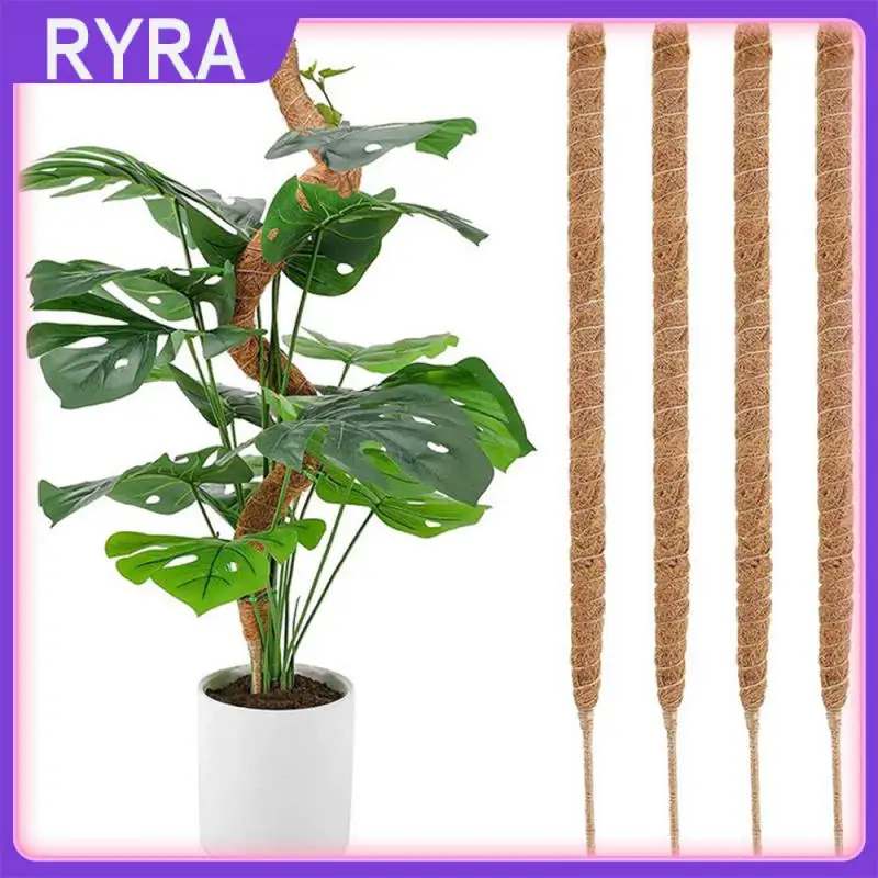 Строгий выбор материалов, кронштейн для скалолазания, шелковая прозрачная Изысканная конструкция в форме зеленого яблока, поддержка выбора слоя садоводства 
Строгий выбор материалов, кронштейн для скалолазания, шелковая прозрачная Изысканная конструкция в форме зеленого яблока, поддержка выбора слоя садоводства