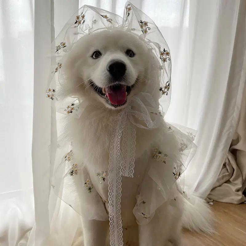 Pet Dog Medium Large Dogs Spring Summer Clothes Thin Wedding Suit Wedding Dress Satsuma Golden Hair Hat Large Dog Dress
Pet Dog Medium Large Dogs Spring Summer Clothes Thin Wedding Suit Wedding Dress Satsuma Golden Hair Hat Large Dog Dress