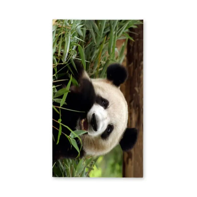 Panda Bath Towels Bathroom Panda Face Towels for Adult Hair Towel Kids Beach Sports Fitness Towel Microfiber Shower Quick Dry
Panda Bath Towels Bathroom Panda Face Towels for Adult Hair Towel Kids Beach Sports Fitness Towel Microfiber Shower Quick Dry