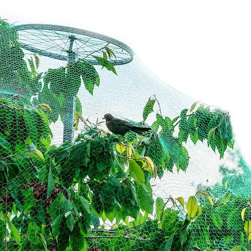 Agricultural Protection Network Gardening Net Garden Fence Bird Net Breeding Net Anti Bird Protect Tree Net Fruit Plant Pond Net
Agricultural Protection Network Gardening Net Garden Fence Bird Net Breeding Net Anti Bird Protect Tree Net Fruit Plant Pond Net