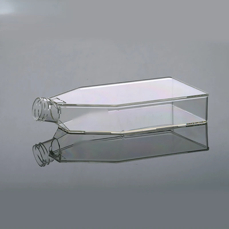 other lab supplies 600ml cell culture flask sterile disposable tissue culture flask
other lab supplies 600ml cell culture flask sterile disposable tissue culture flask