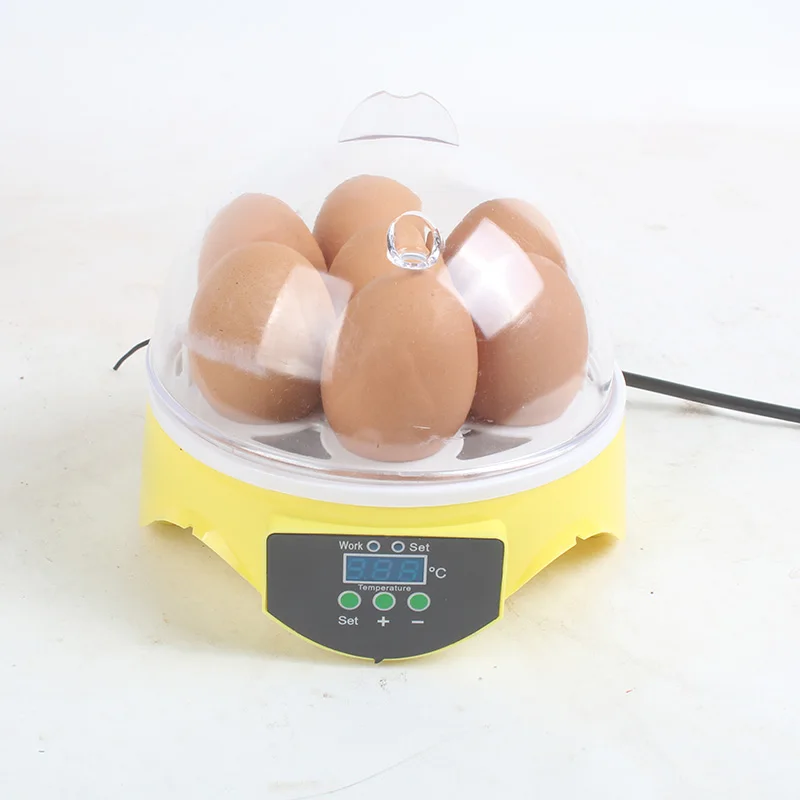 Mini Egg Incubator 7 eggs Automatic small incubator egg hatching machine
Mini Egg Incubator 7 eggs Automatic small incubator egg hatching machine