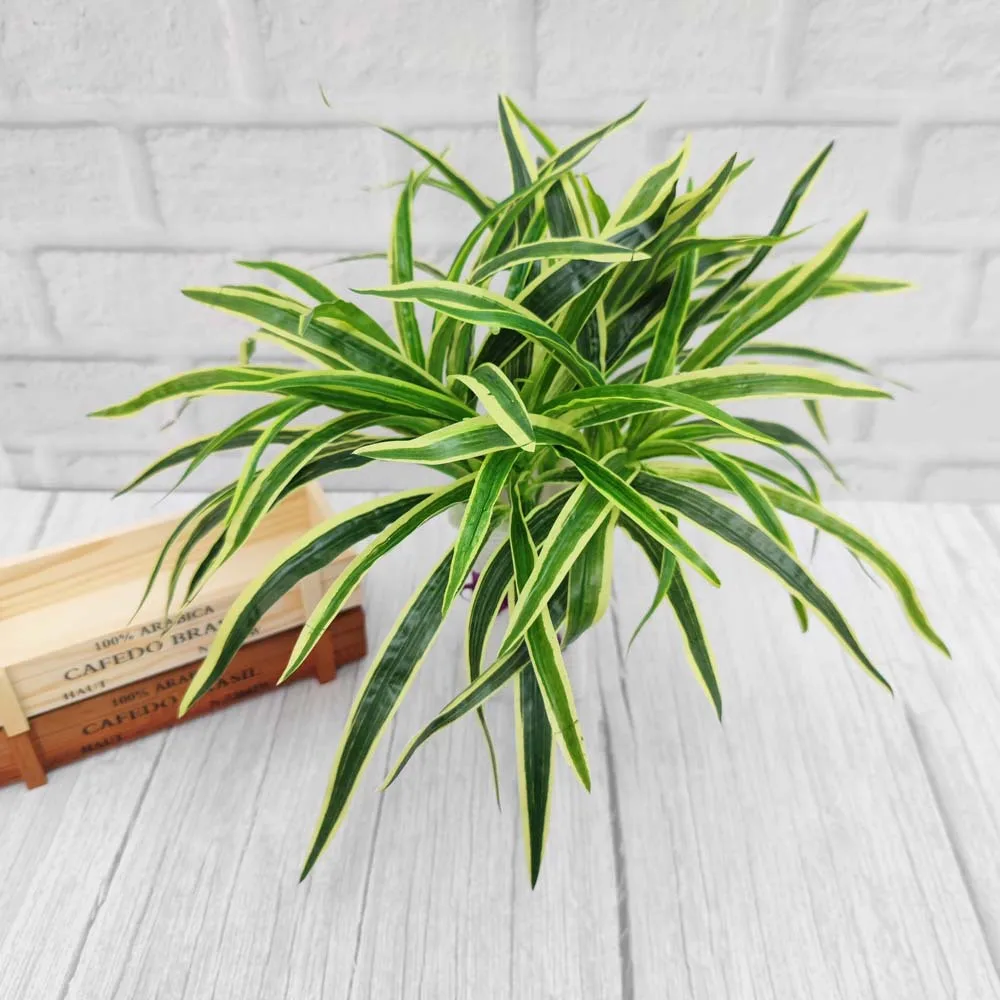 40CM Single Branch Artificial Plants Simulation Chlorophytum Fake Plastic Green Grass Home Garden Office Desktop Decoration
40CM Single Branch Artificial Plants Simulation Chlorophytum Fake Plastic Green Grass Home Garden Office Desktop Decoration