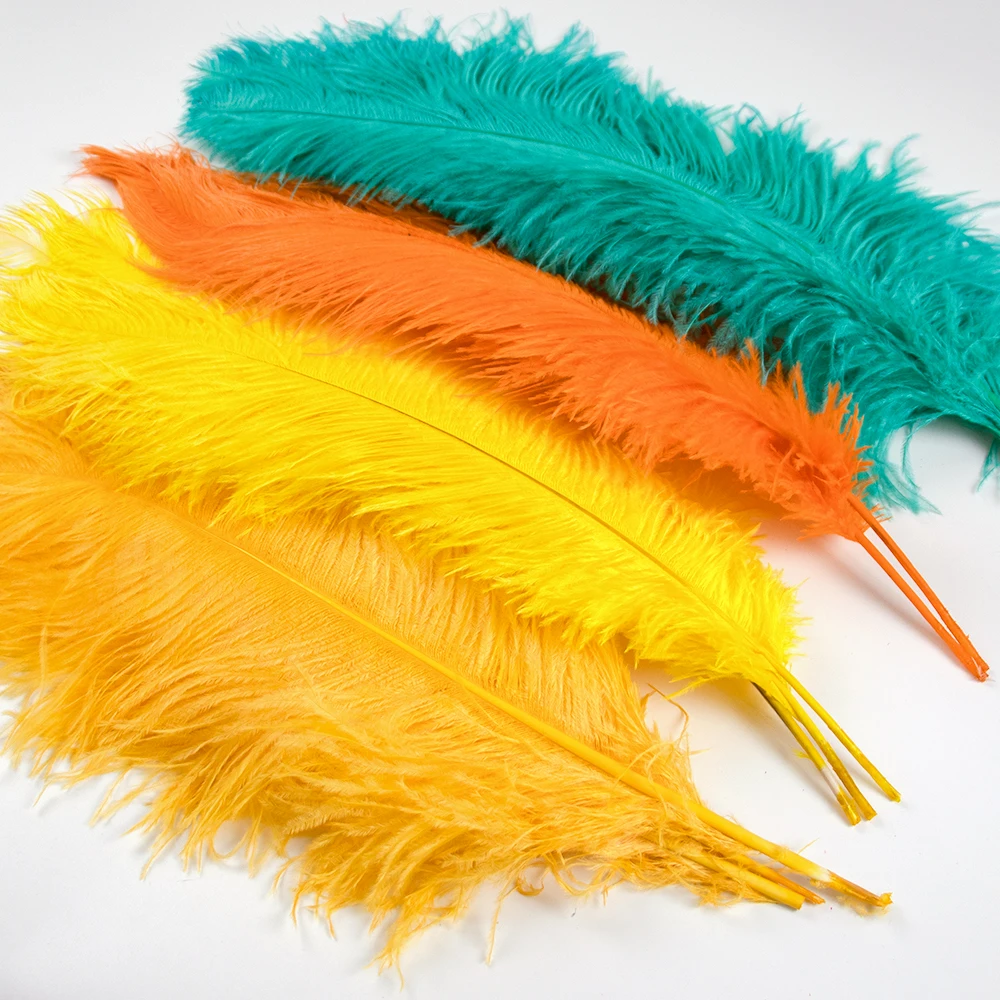 32 Kinds Color Ostrich Feathers for Carnival Party Handicraft Decorative Feather Making Wedding Table Vase Accessories 10pcs
32 Kinds Color Ostrich Feathers for Carnival Party Handicraft Decorative Feather Making Wedding Table Vase Accessories 10pcs
