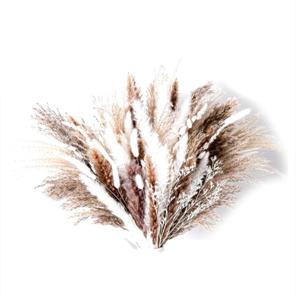 75Pcs/Set 45Cm Natural Dried Real Flowers Pampas Rabbit Tail Grass Bunch Bouquet Family Wedding Garden Party Decoration
75Pcs/Set 45Cm Natural Dried Real Flowers Pampas Rabbit Tail Grass Bunch Bouquet Family Wedding Garden Party Decoration