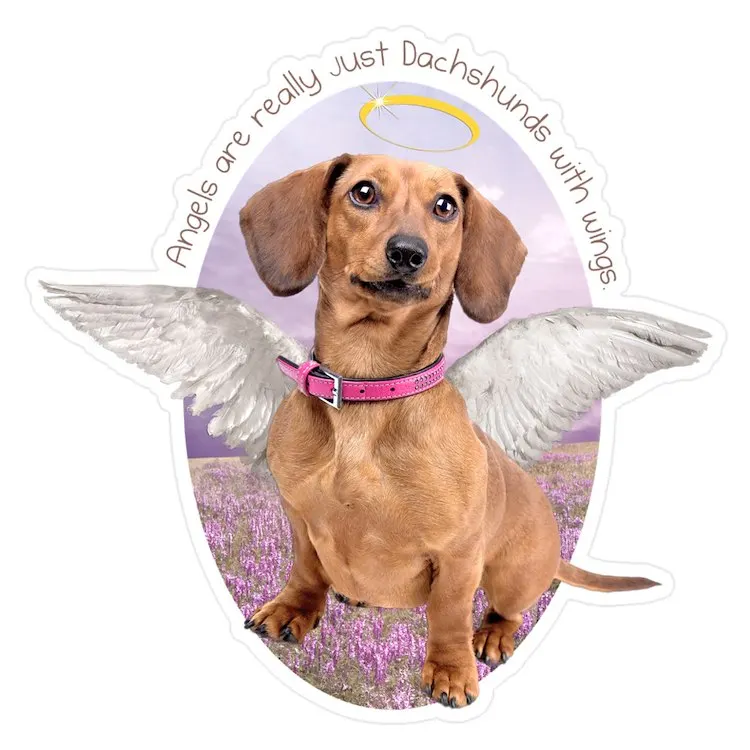Angelwithwings Средний высеченный стикер для ноутбука, забавный автомобиль, милый мультяшный модный чемодан для общественных мест
Angelwithwings Средний высеченный стикер для ноутбука, забавный автомобиль, милый мультяшный модный чемодан для общественных мест