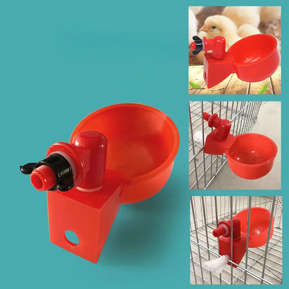 

1pcs Chicken Drinker Drinking Cups for Chickens Red Quail Chicken Waterer Bowl Automatic Poultry Coop Feeder Water Drinking Cup