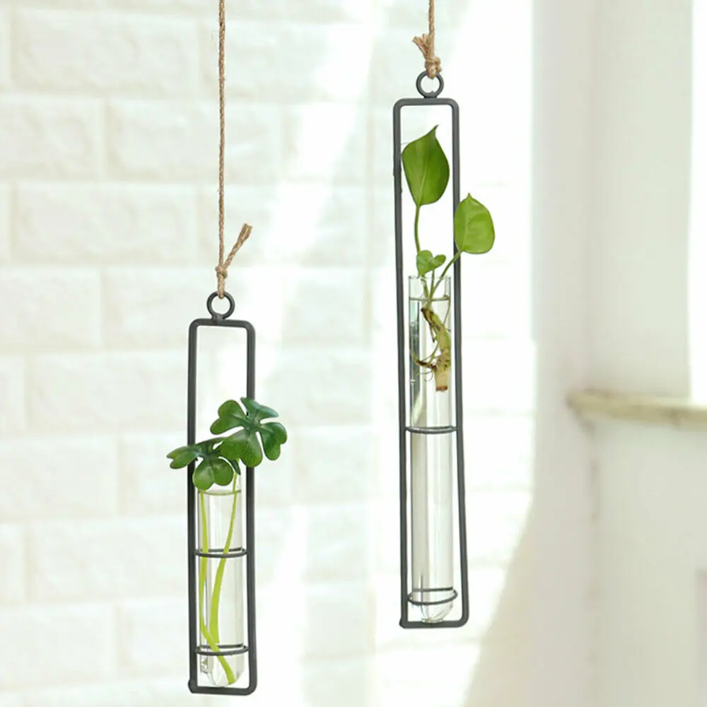Creative Wall Hanging Flower Vase Iron Glass Transparent for Hydroponics DIY Plant Container Hanging Decoration
Creative Wall Hanging Flower Vase Iron Glass Transparent for Hydroponics DIY Plant Container Hanging Decoration