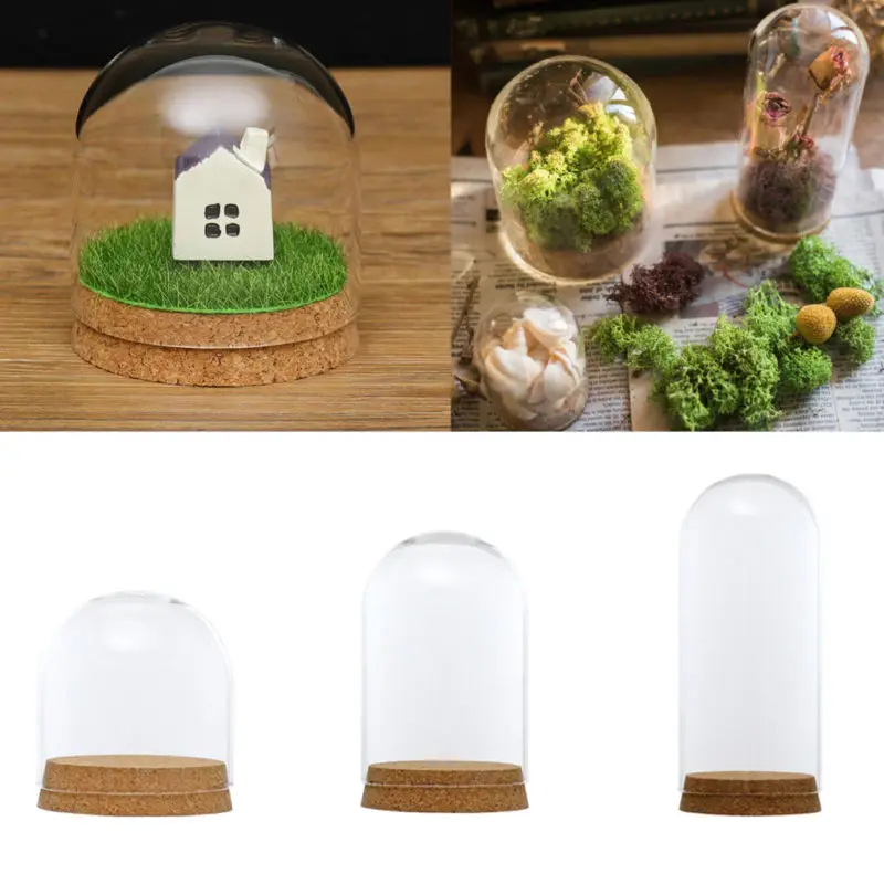 Clear Glass Hemisphere Cover Glass Dome Cover For Flower Succulent Plants Vase With Wood Cork Table Decor Dry Flower Decor
Clear Glass Hemisphere Cover Glass Dome Cover For Flower Succulent Plants Vase With Wood Cork Table Decor Dry Flower Decor