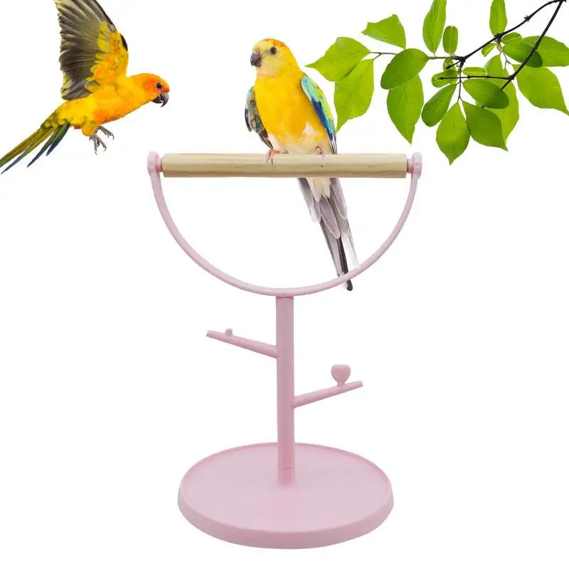 Bird Play Stand Top Of Cage Cage Perch Stand Bird For Parakeets Portable Tabletop Bite Resistant Perch For Lovebirds Parakeets
Bird Play Stand Top Of Cage Cage Perch Stand Bird For Parakeets Portable Tabletop Bite Resistant Perch For Lovebirds Parakeets