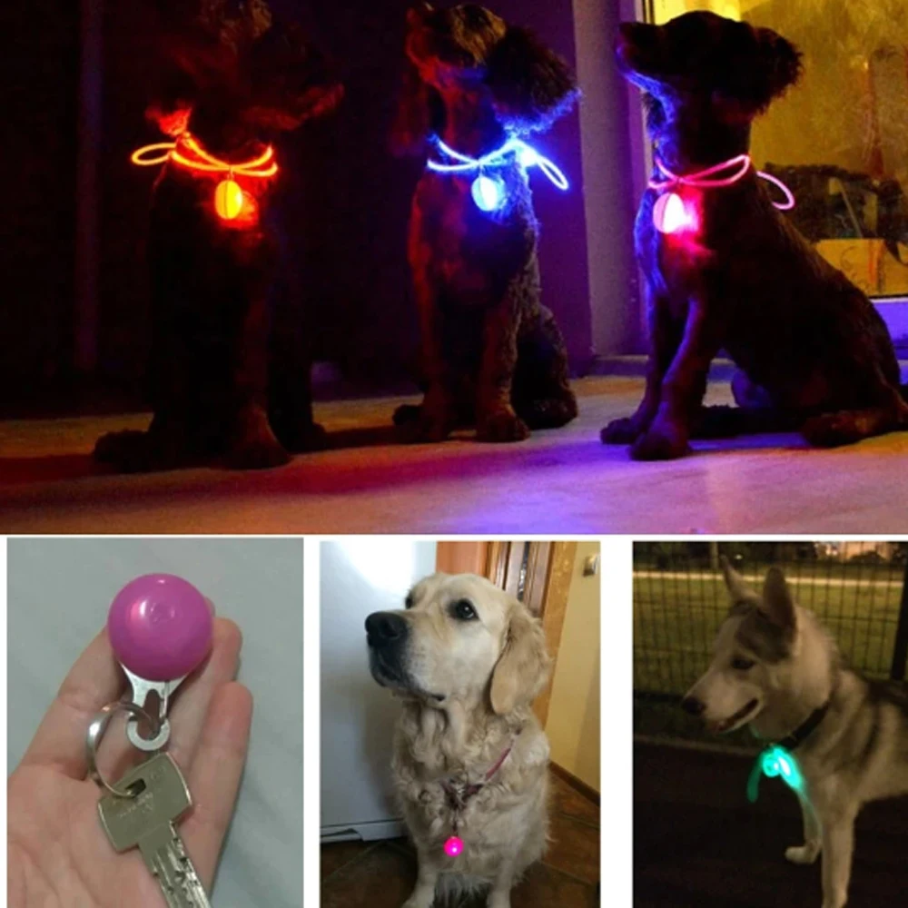 Led Pet Light Pendant Dog Tag Dog Tag Led Night Flashing Light Pendant Pet Supplie Dog Collar Pendant Dog Collar Luz Perro Noche
Led Pet Light Pendant Dog Tag Dog Tag Led Night Flashing Light Pendant Pet Supplie Dog Collar Pendant Dog Collar Luz Perro Noche