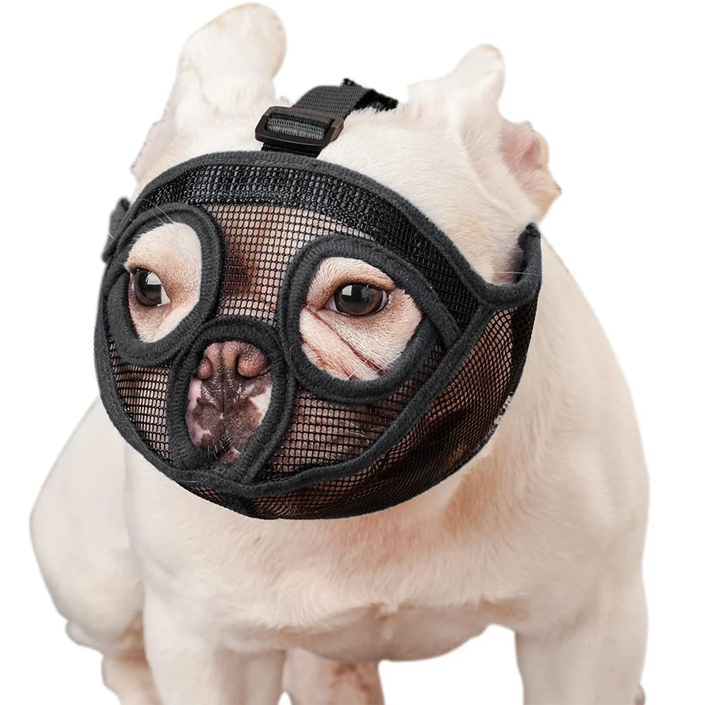 Short Snout Dog Muzzle Adjustable Mesh Bulldog Muzzle to Prevent Biting, Chewing and Barking Training
Short Snout Dog Muzzle Adjustable Mesh Bulldog Muzzle to Prevent Biting, Chewing and Barking Training