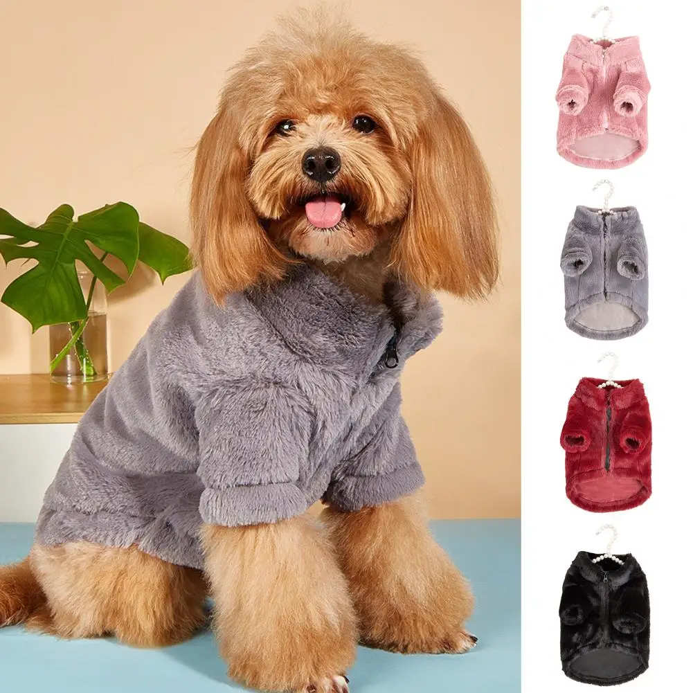 Winter Dog Clothes Chihuahua Soft Puppy Kitten Kitten High Collar Solid Color Design Sweater Fashion Clothing for Pet Dogs Cats
Winter Dog Clothes Chihuahua Soft Puppy Kitten Kitten High Collar Solid Color Design Sweater Fashion Clothing for Pet Dogs Cats