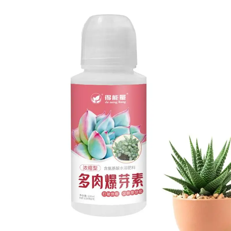 

Succulent Fertilizer Liquid Slow Release Succulent Growth Food 100ML Slow Release Fertilizer Amino Acid Boosts Succulent Bud