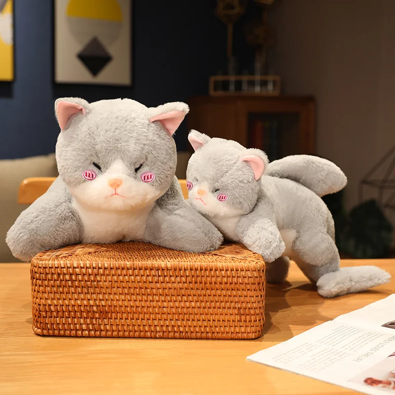 50-90cm Kawaii Transform Shark Cat Plush Toys Stuffed Lovely Animal Pillow Soft Cartoon Cushion Christmas Gift For Kids
50-90cm Kawaii Transform Shark Cat Plush Toys Stuffed Lovely Animal Pillow Soft Cartoon Cushion Christmas Gift For Kids