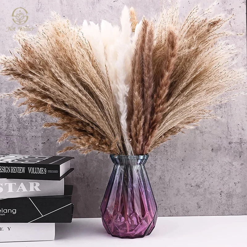 110PCS Natural Pampas Dried Flowers Boho Home Decor Party Supplies Country Wedding Decoration Artificial Flower Photography Prop
110PCS Natural Pampas Dried Flowers Boho Home Decor Party Supplies Country Wedding Decoration Artificial Flower Photography Prop