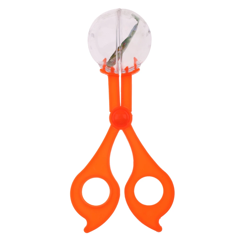Reptile Spider Cricket Insects Catch Clamp Anti Bug Trap Aquarium Litter Feeding Cleaning Tools Garden Supplies Random Color
Reptile Spider Cricket Insects Catch Clamp Anti Bug Trap Aquarium Litter Feeding Cleaning Tools Garden Supplies Random Color