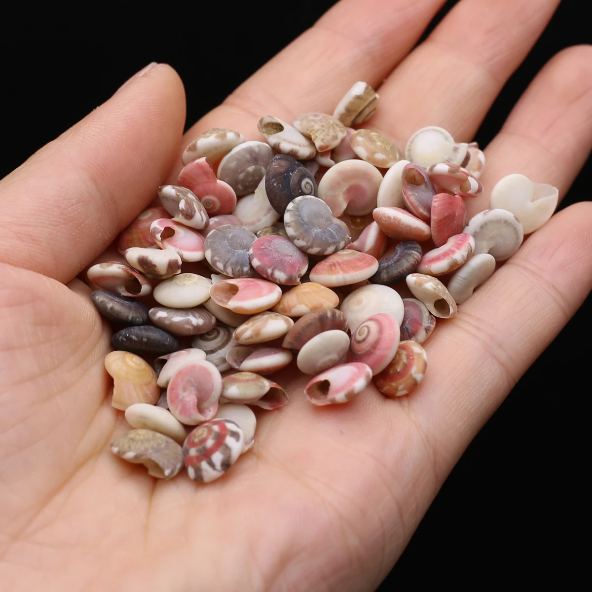 Wholesale Small Conch Beads 100g Natural Sea Snail Accessories Women Diy Bracelet Necklace Earring Jewelry Parts
Wholesale Small Conch Beads 100g Natural Sea Snail Accessories Women Diy Bracelet Necklace Earring Jewelry Parts