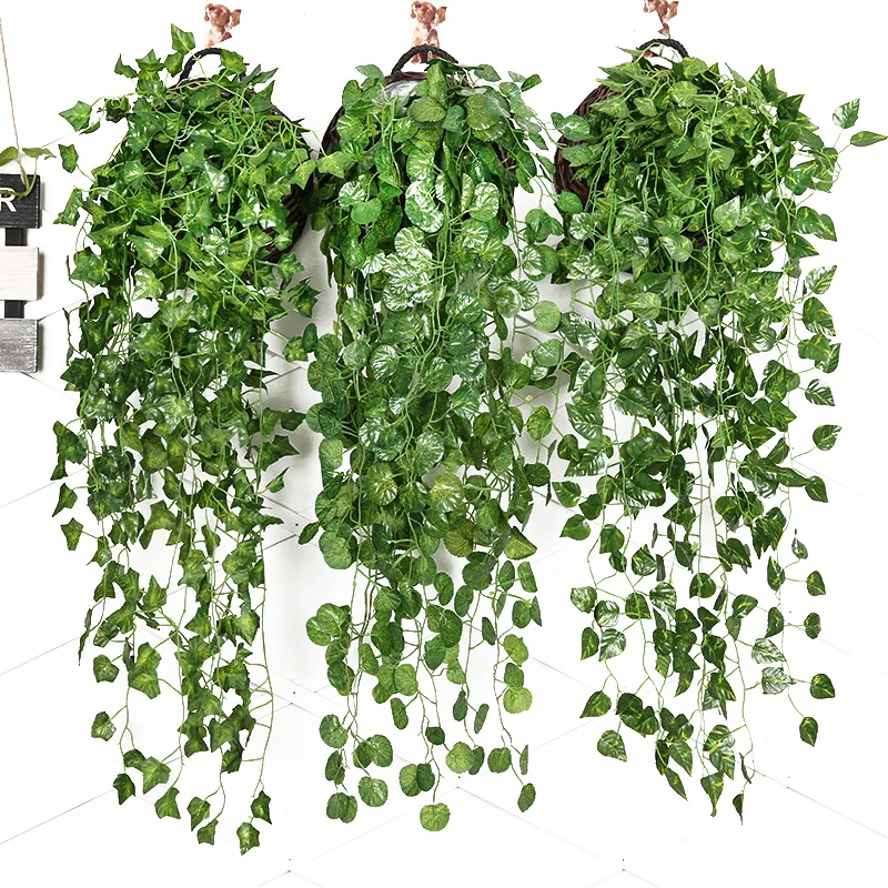 Artificial Plants Green Radish Wall Hanging Strip Simulation Wall Vine Ivy Decorative Rattan Leaves Begonia Home Accessories
Artificial Plants Green Radish Wall Hanging Strip Simulation Wall Vine Ivy Decorative Rattan Leaves Begonia Home Accessories
