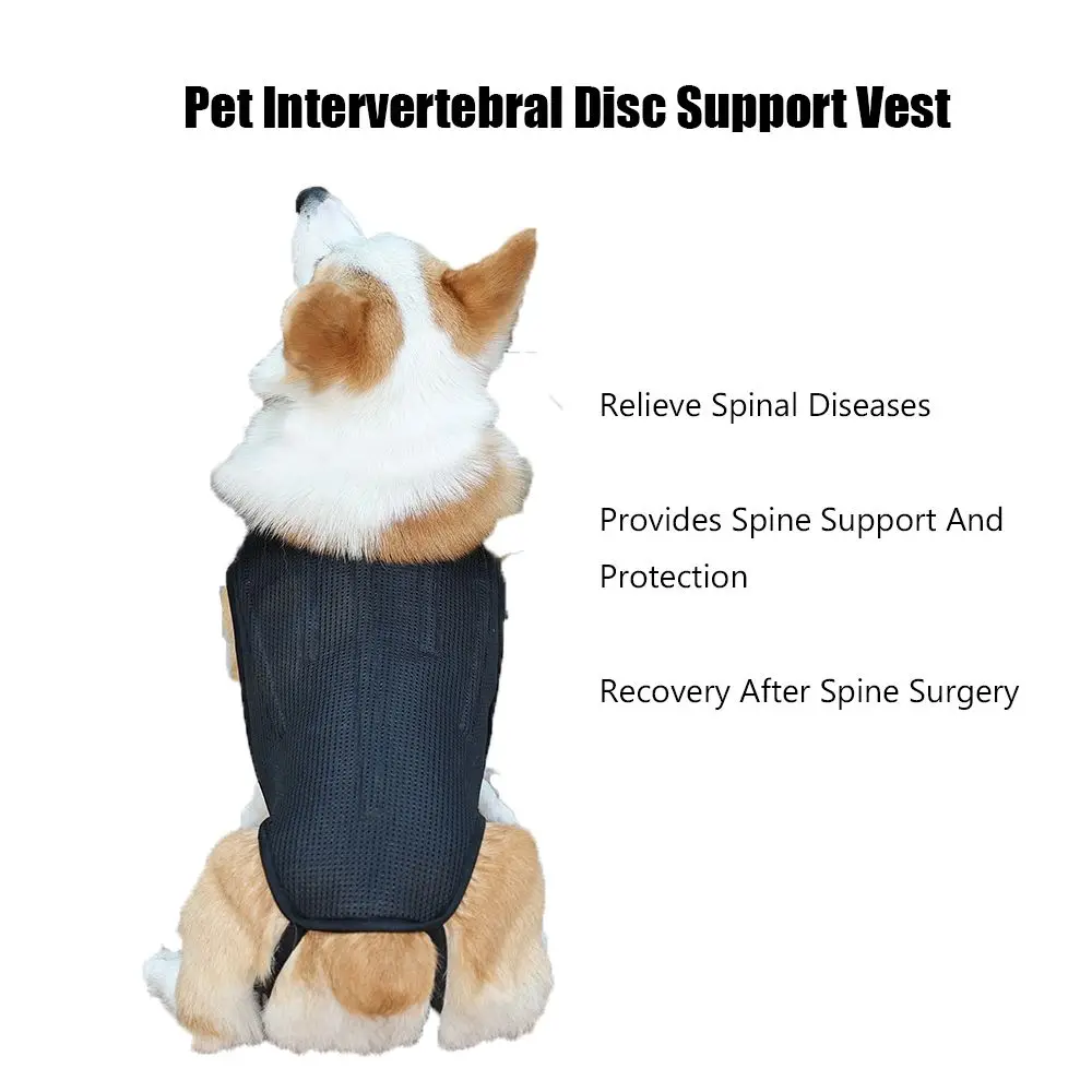 Spine Surgery Protection Harness Pain Relief Dog Disc Protection Pet Clothing Pet Intervertebral Disc Support Vest
Spine Surgery Protection Harness Pain Relief Dog Disc Protection Pet Clothing Pet Intervertebral Disc Support Vest