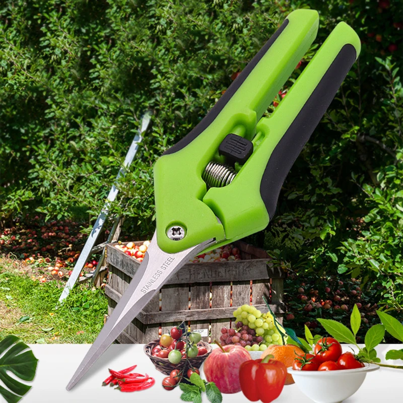 Shears Pruner Secateurs Pruning Scissors Bypass Sharpener Clippers Garden Tool Bonsai Flower Cultivating Solid Snip Floral Mini
Shears Pruner Secateurs Pruning Scissors Bypass Sharpener Clippers Garden Tool Bonsai Flower Cultivating Solid Snip Floral Mini