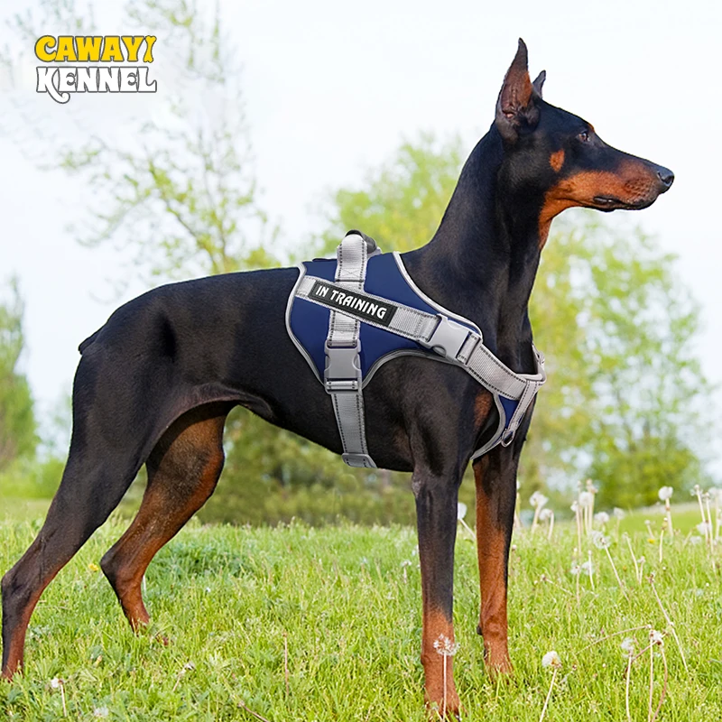 CAWAYI KENNEL Dog Chest Harness Leashes Nylon Waterproof Adjustable Customize Pet Vest Collar for Large Dogs Harness Accessories
CAWAYI KENNEL Dog Chest Harness Leashes Nylon Waterproof Adjustable Customize Pet Vest Collar for Large Dogs Harness Accessories